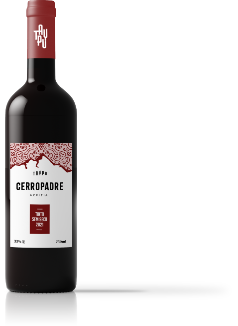 Vino Cerro Padre Tinto
